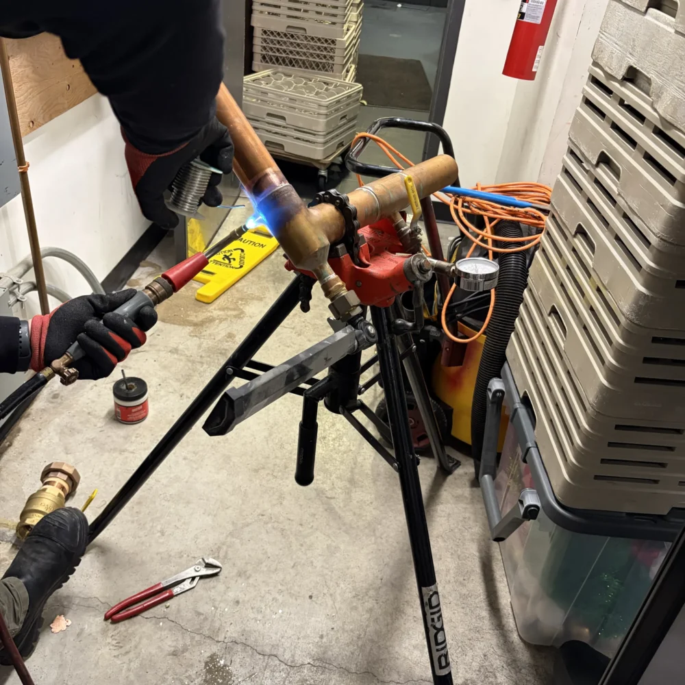 Professional Plumbing Group commercial plumbing services backflow testing and reporting in the GTA